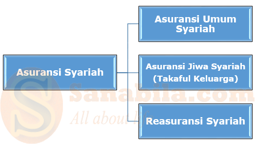 Asuransi syariah adalah jenis asuransi yang sesuai prinsip syariah, yakni prinsip hukum islam yang diatur dalam fatwa majelis ulama . Jenis Jenis Bidang Usaha Asuransi Syariah Web Edukasi Sanabila Com